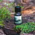 Aceites Aromáticos Exotic Destinations - Aqui&Ahora